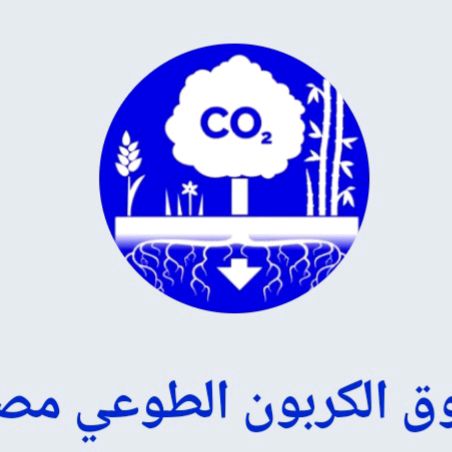 Dr. Ibrahim Farouk