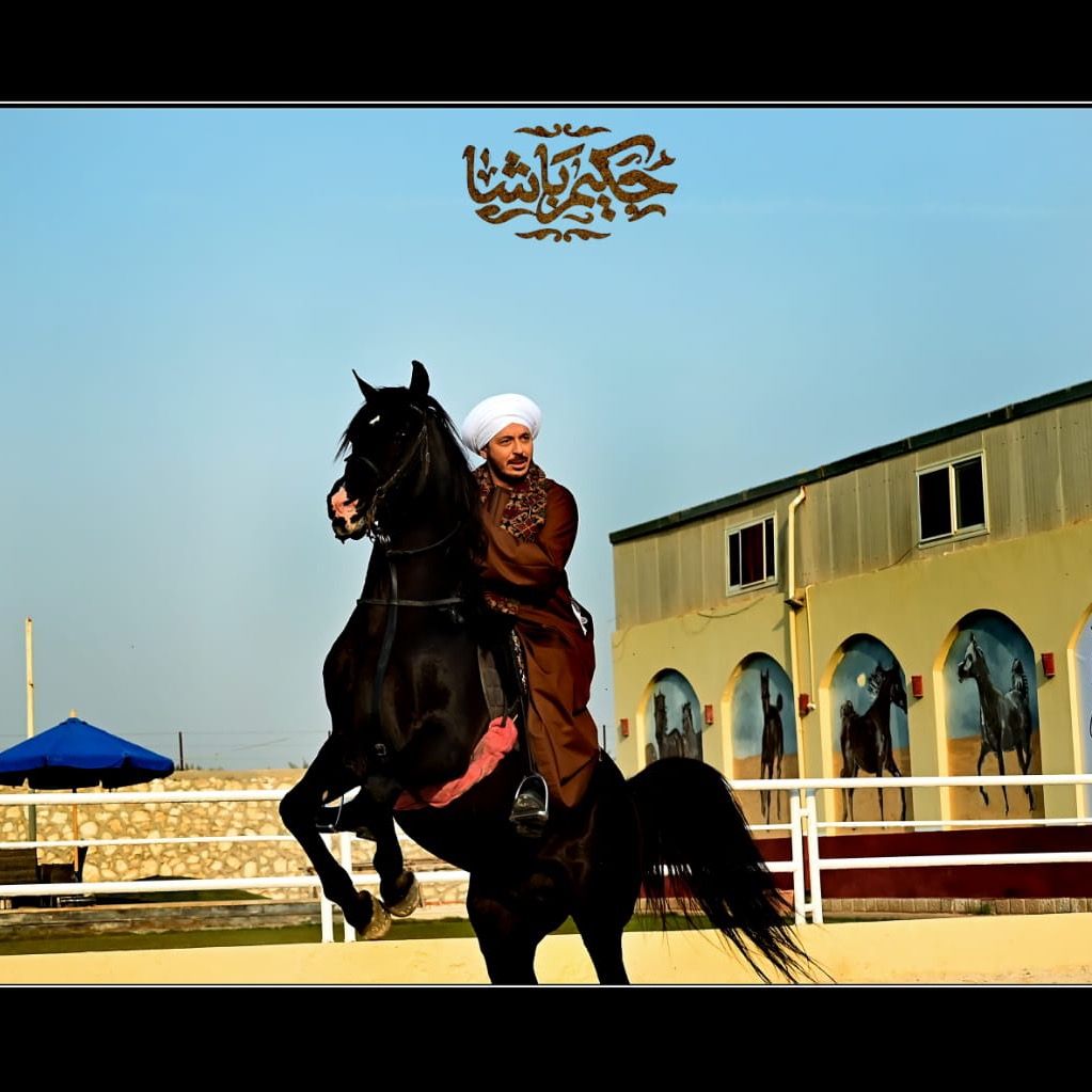 MostafaShaban