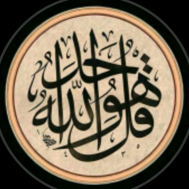 نور الإسلام السعودية اليمن غزة