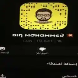 Bin Mohammed 