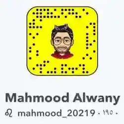 Mahmood Alwany